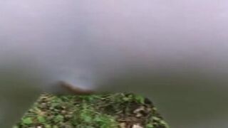 Another pair of white leggings becomes the victim, ScatKings.com Scat Porn 6 ScatKings.com Scat Porn