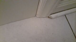 Toilet pooping - video 157, ScatKings.com Scat Porn 13 ScatKings.com Scat Porn
