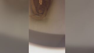 snake dump, ScatKings.com Scat Porn 15 ScatKings.com Scat Porn